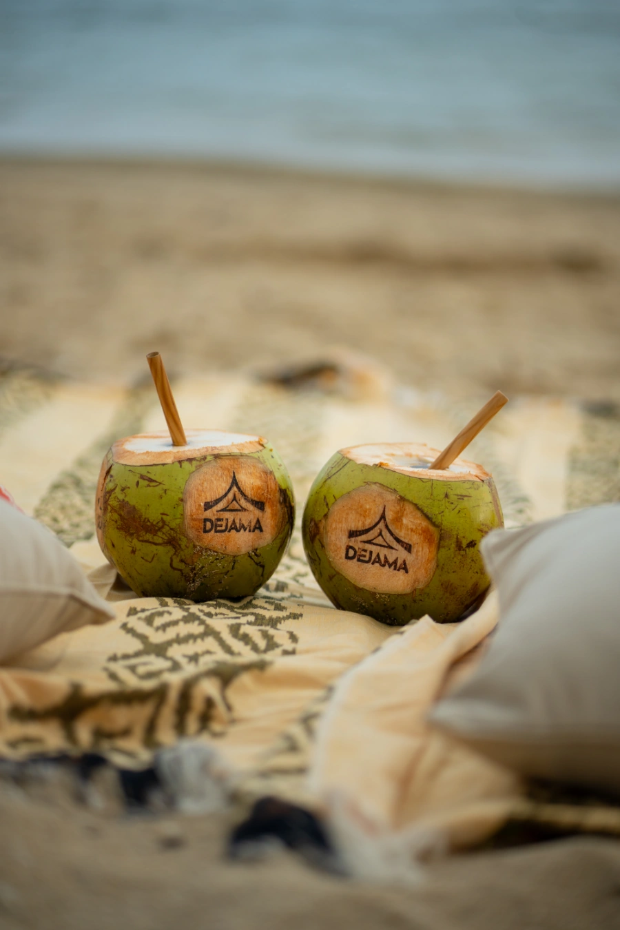 Coconuts at Dejama Resort, Lombok